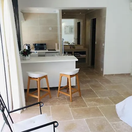 Charm In Cannes - Apartment Mougins
